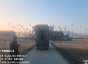 �ھ�����1501 �㶫�����վ�������鳲