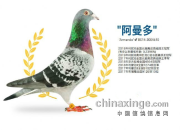 �ֵ�һ��ѡ���� ����˭�����أ�