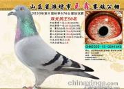 ͬ������ ����˫˫����