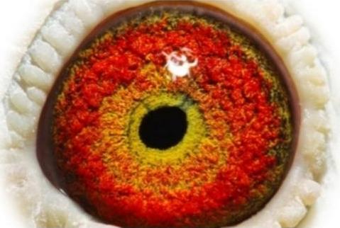 ����ʵս��ԣ�����ھ��ĸ�ĸ����