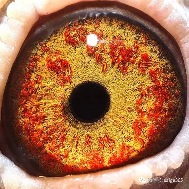 ������һ�����־о�����⴫��������ƪ֮�۾�