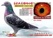 ��������ϡ����ҡ���������������Ψһϲ��