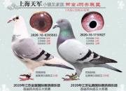 �۳������࿭�� �������������Ǿ�