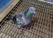 ���������ؽ���67�� �пả�����