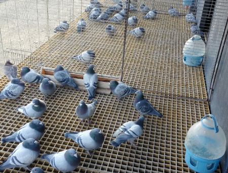 ������û����ꣿ