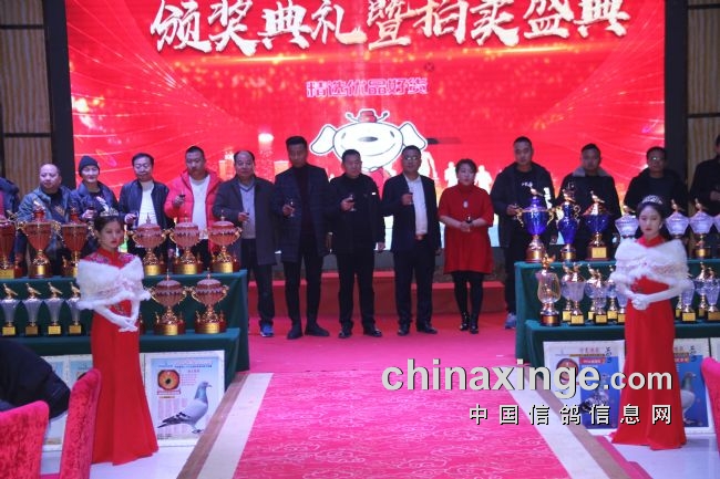 �����ߣ��¾�2020����Щ������ĸ�����