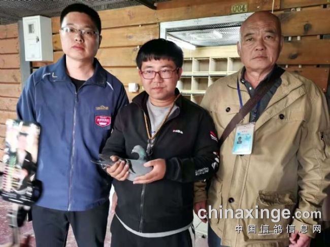 �����ݻԻ�-����ˬ���������۹�н����