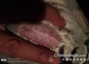 ����һ��Ҫ����Ʒ