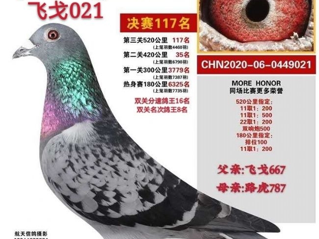 2020�깫������ܽᣡ