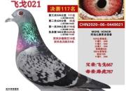 2020�깫������ܽᣡ