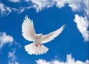 ʫ��һ�ף��Ÿ�