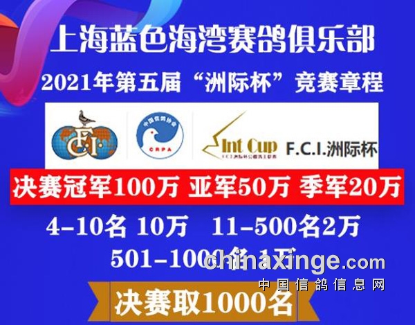 2021�Ϻ���ɫ����˫���뷢 ���³��𺳵ǳ���