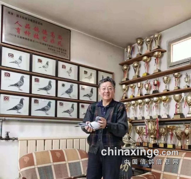 κ�������������  ��������