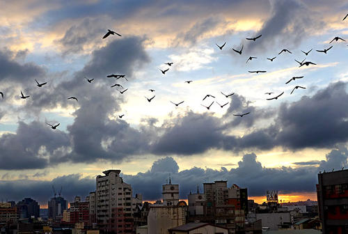 �������ϱ�֮�֣�