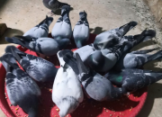 ��¼��������֮· �����ҵĲ���