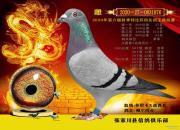 2020��عˣ�ǰʮ���� �������Ǽ���