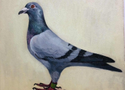 �ֻ����룺���뻭�� ��������