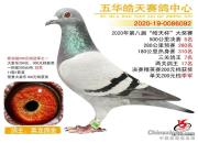 �������ͬ����������͸�λ