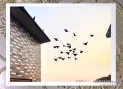 ͼ����Ʒ�����籩���еĸ���