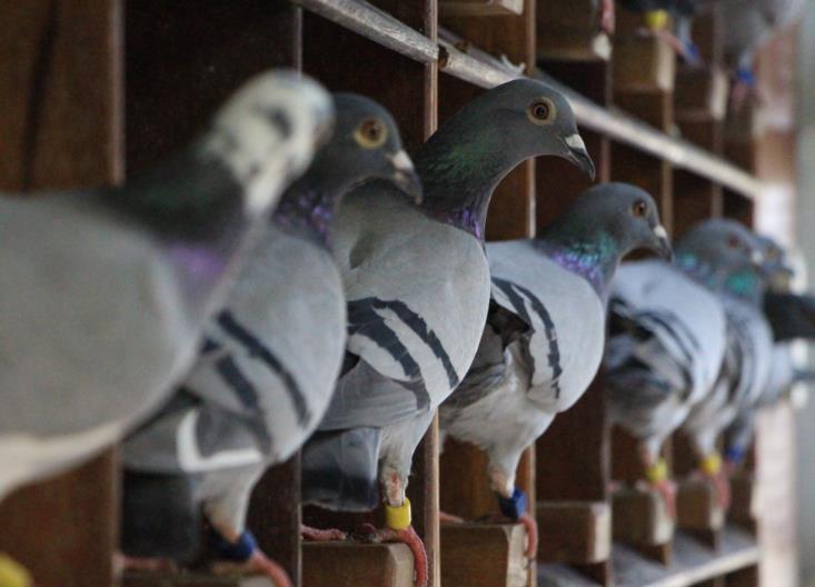 ̩�������ŵڶ��أ��й����Ѻ����� 