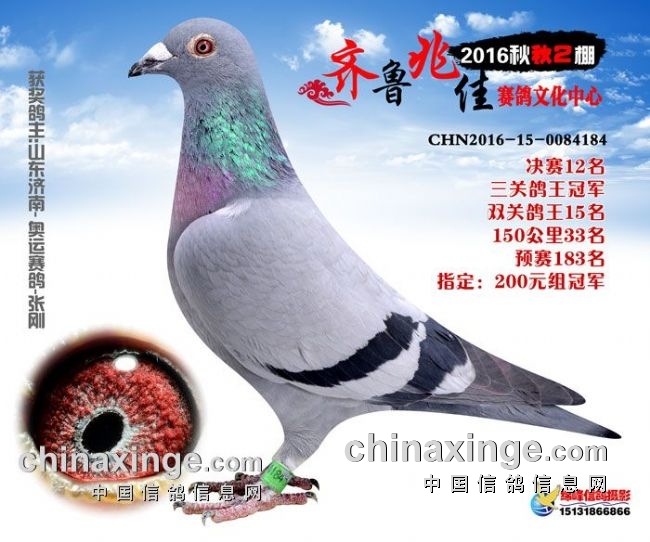 ɢβ�ĸ��Ӳ��ã����벻���ۣ���������Ƿǣ�