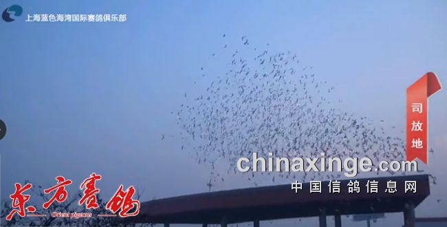 ��;�ɳ������� ����ɶ��Դ���