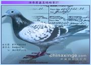 ����ղɭ���뵵����Ϊ���Ů����