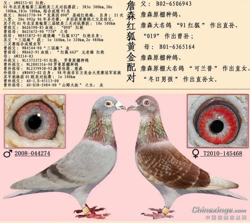 ղɭ���鴫���������