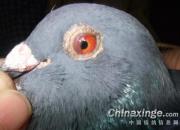 Ԫ����ǣ��鵽������ ����һ���