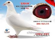 ʵս�׸�ǧ������� ͬһ������������