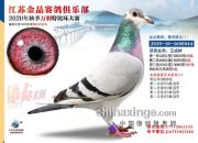 һ�������� �������������д��ҫ