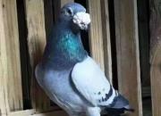 ���һ��Ѫ��05�����ۺ���������