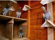 �����õ������ �����Ĺ�Խ��Խ��