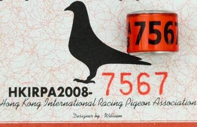 ���ֿ�ʲô��������������