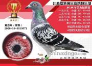 �й�������ϵ��ģϵ