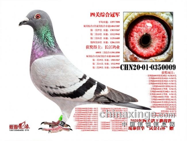 ������©ţ������ 2020�ꡰ����С���̵�