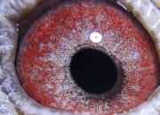 ѧ���Լ����ĸ��� ����������ô��