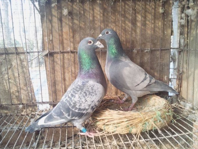 �����б� ���ƻ�����2021�����������