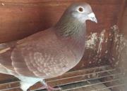 �������� ���������ǼҴ����䣿