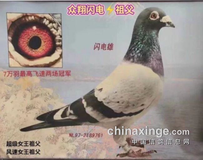 ����������᣺�����Ķ��   ��������