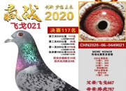 2021���ָ����Ԥ����