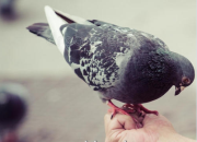 ��ʧ�ܾõ�����麽��ͼ��