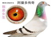 �״γ���ŷ�޼����Ǿ� ��˭��������ǣ�