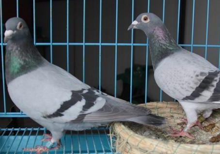 ���¾㱸 ���á������䡱