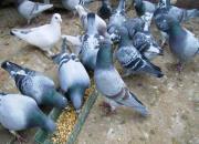 ������������������ĸ����ϳ�