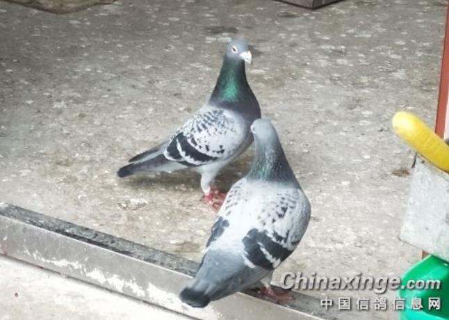 ��ô��ԣ�����ã�