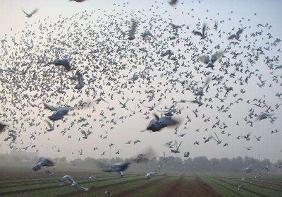 �Ϻ��رȻ���ʮ��ĳ���