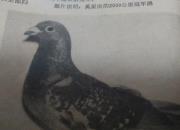 ����Ƭ��30����ǰ����������