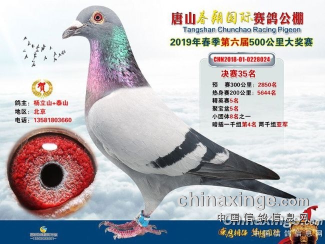 ��������ܽ᣺С��Ҫ��Ӯ �ٴ���������