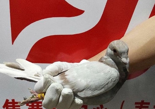 ����ӵĹ���